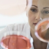 Female scientist analyzing chemicals in petri dish