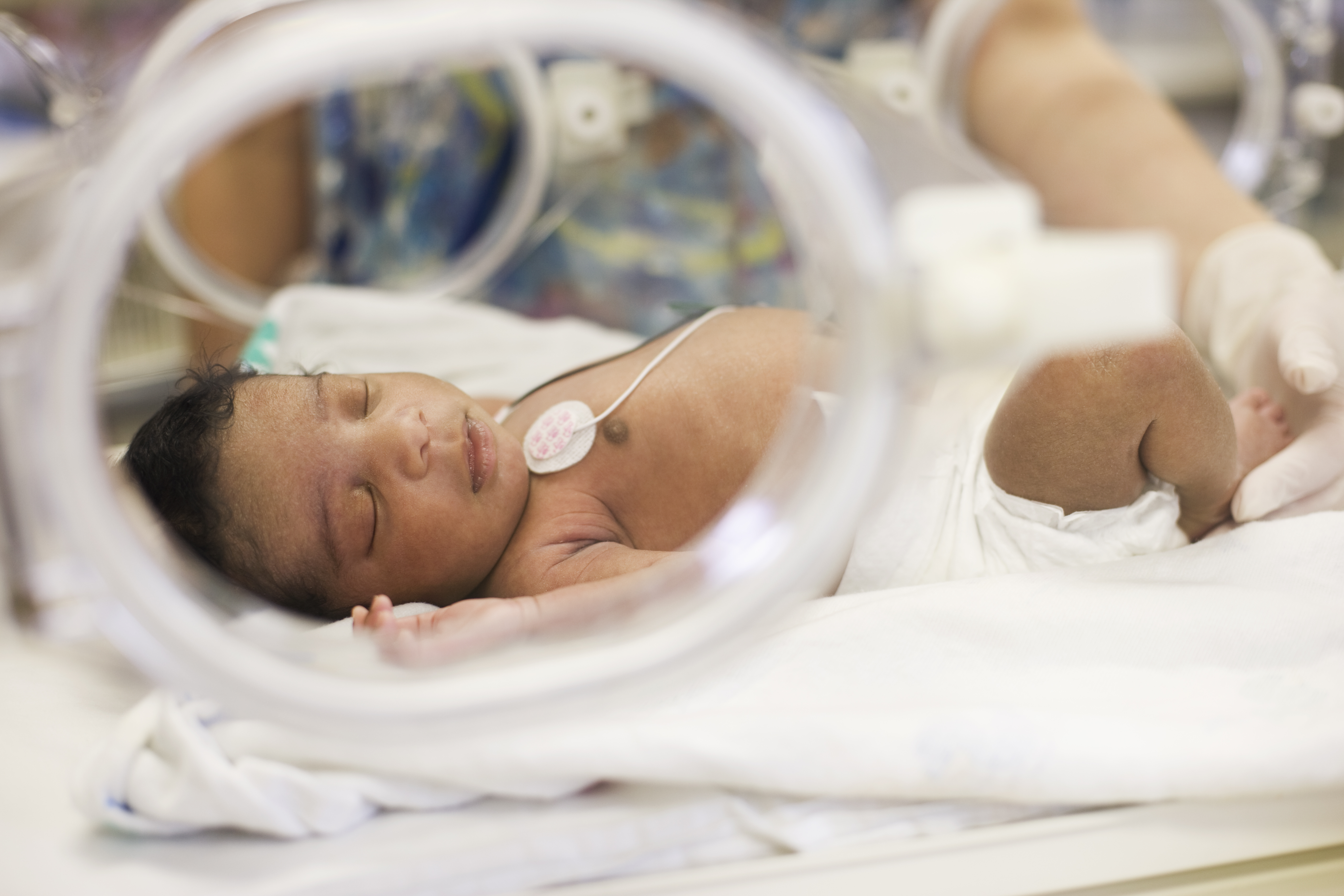 African American newborn baby in incubator
