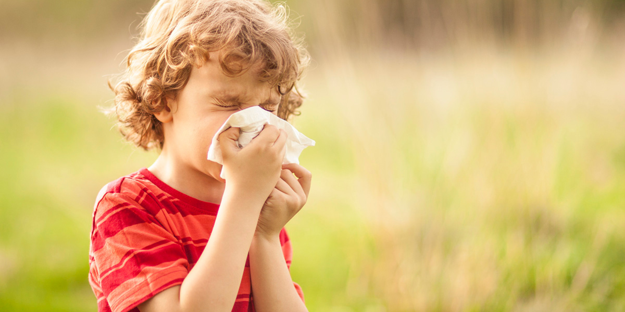Spring allergies or common cold? How to spot the difference