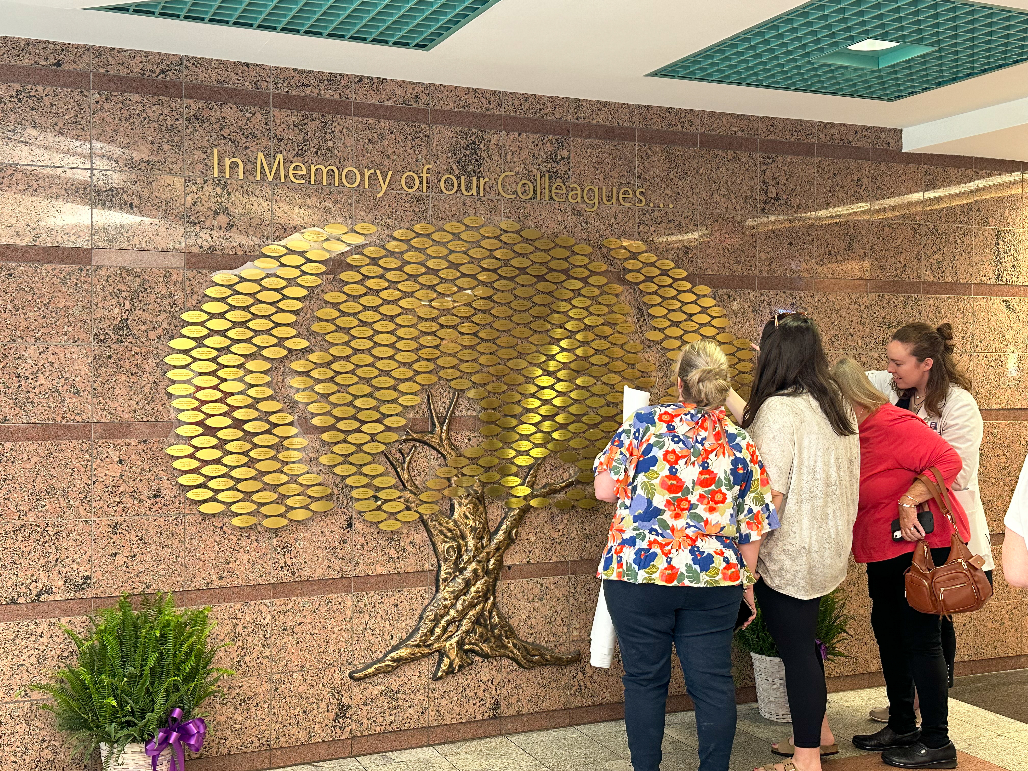 Colleagues remembered as 40 names are added to SRHS memorial tree
